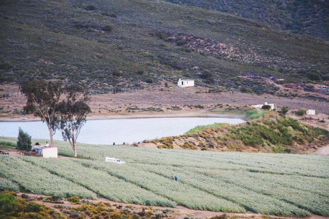 Blue Cow Barn - Boutique Farm Guest House Barrydale Exterior photo